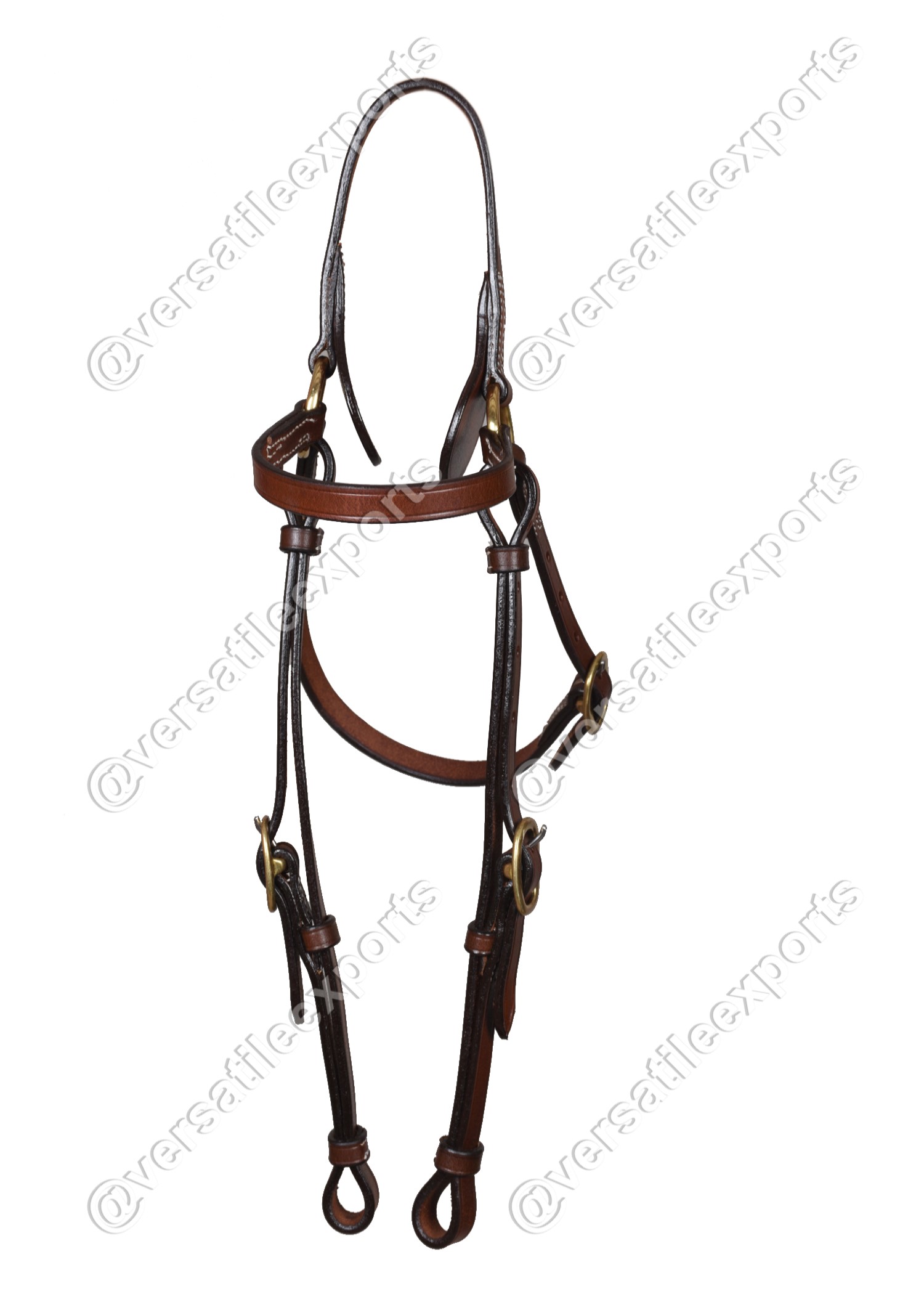 Barcoo Bridle